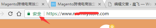 Magento跨境电商独立站运营系列教程(五) 一步到位 谷歌云平台为magento自建站部署SSL安全证书