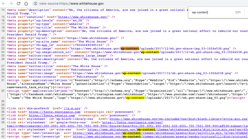 wordpress